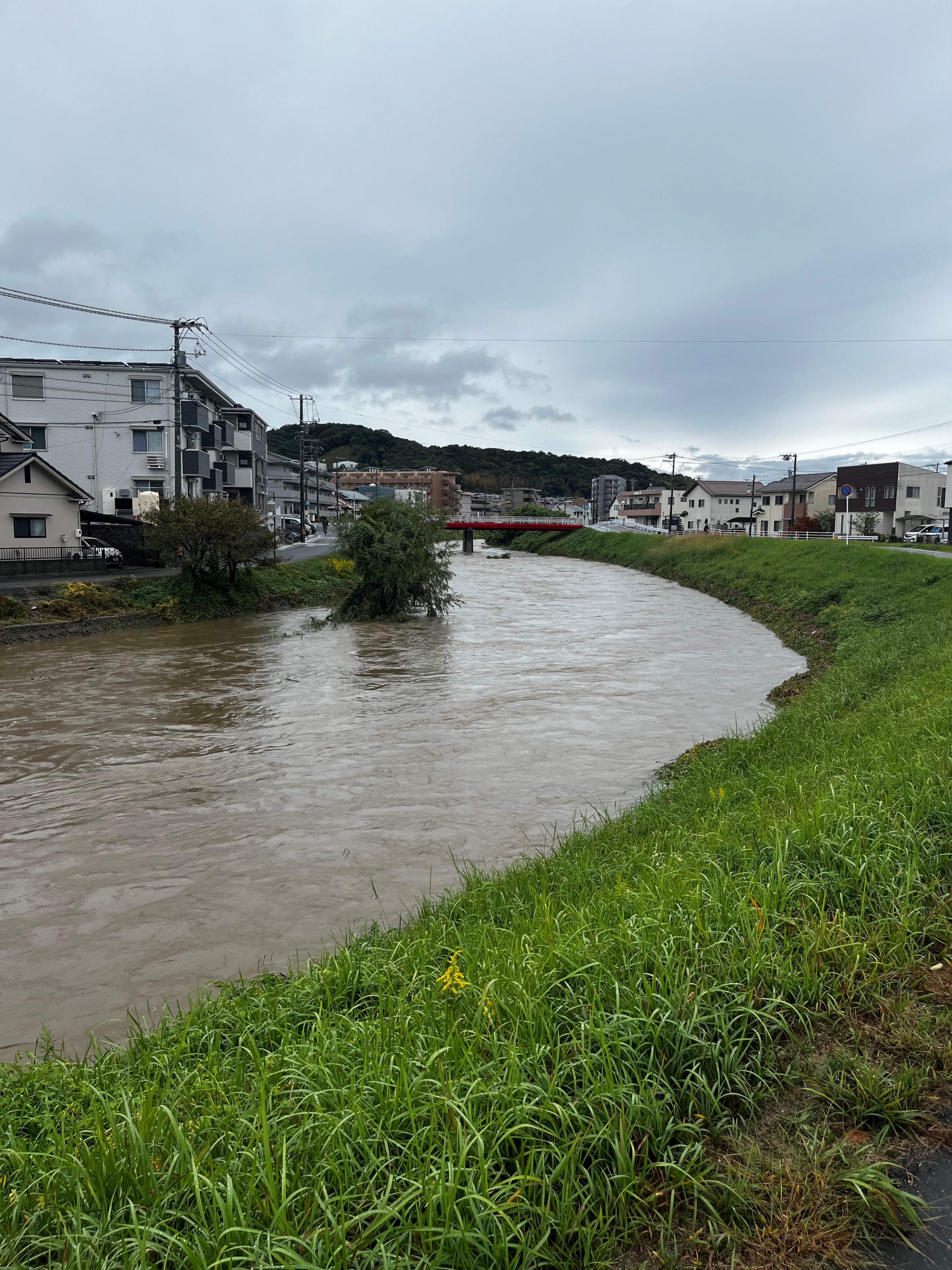 氾濫寸前の黒瀬川